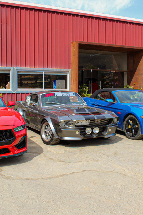 Ford Mustang Eleanor